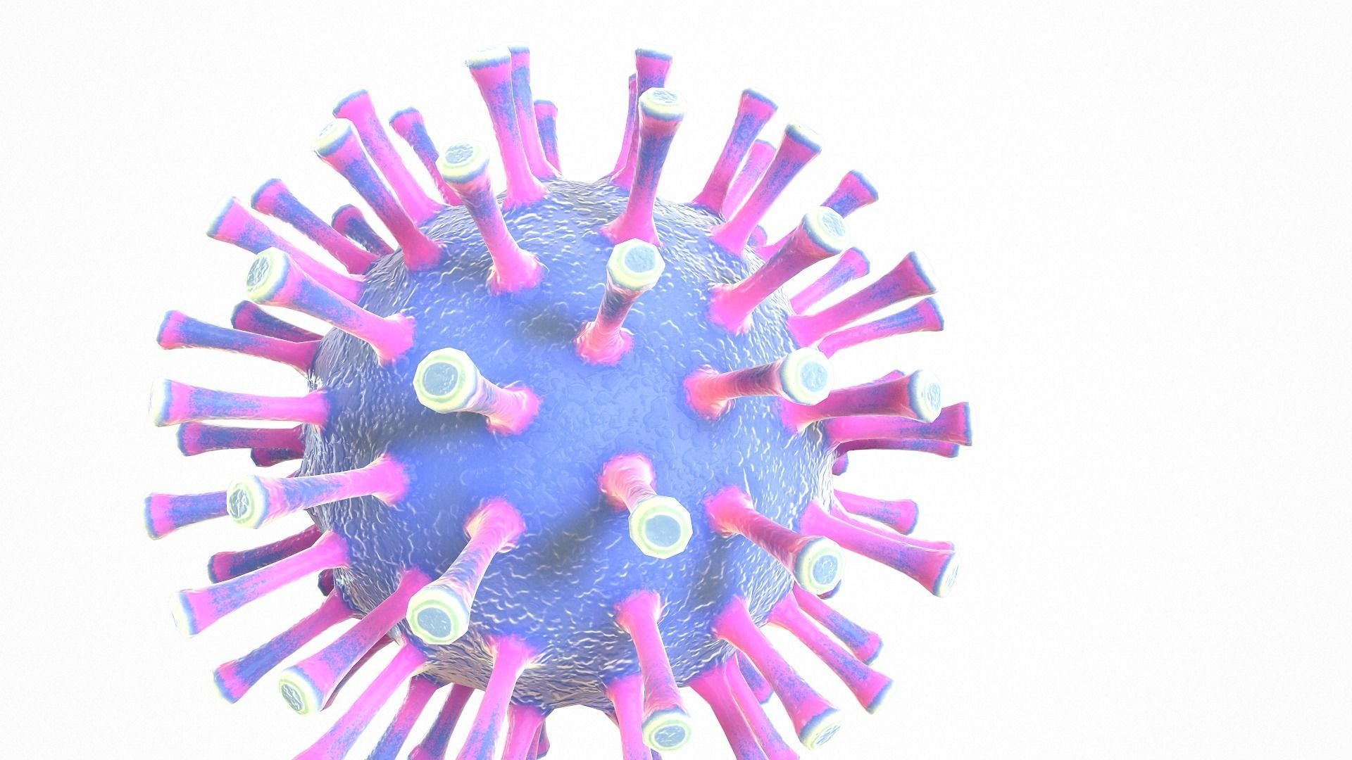Coronavirus COVID 19 Low-poly 3D model_8