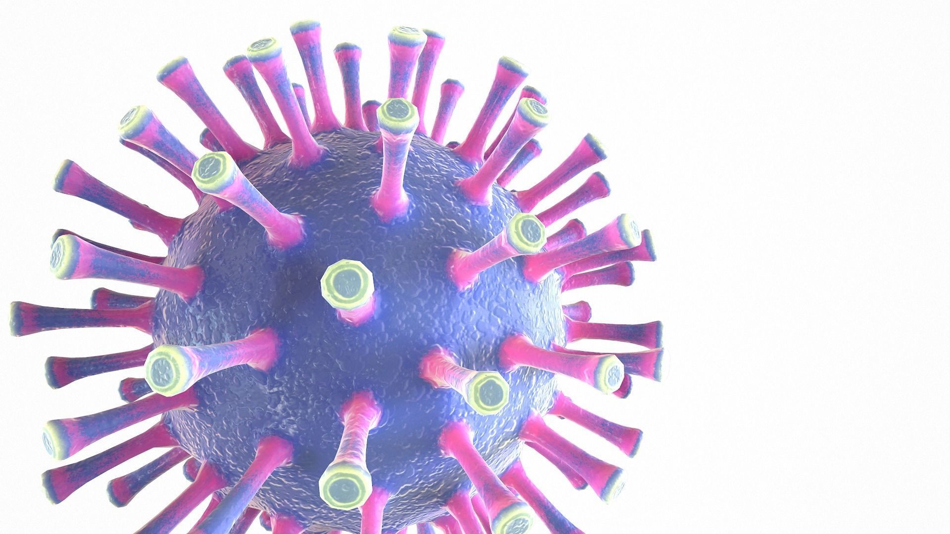 Coronavirus COVID 19 Low-poly 3D model_9
