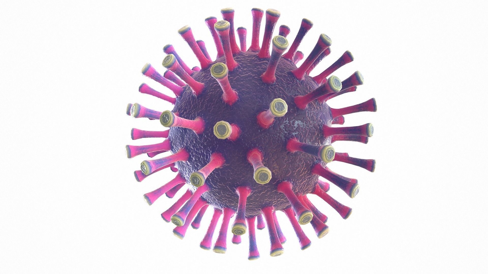 Coronavirus COVID 19 Low-poly 3D model_6