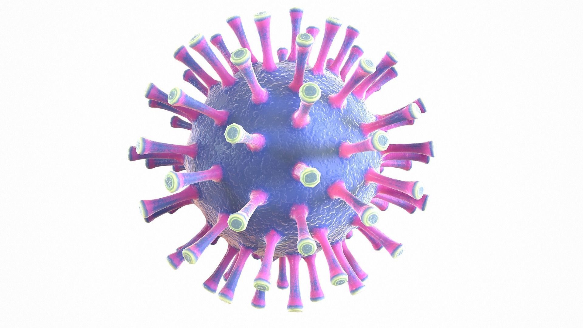 Coronavirus COVID 19 Low-poly 3D model_3