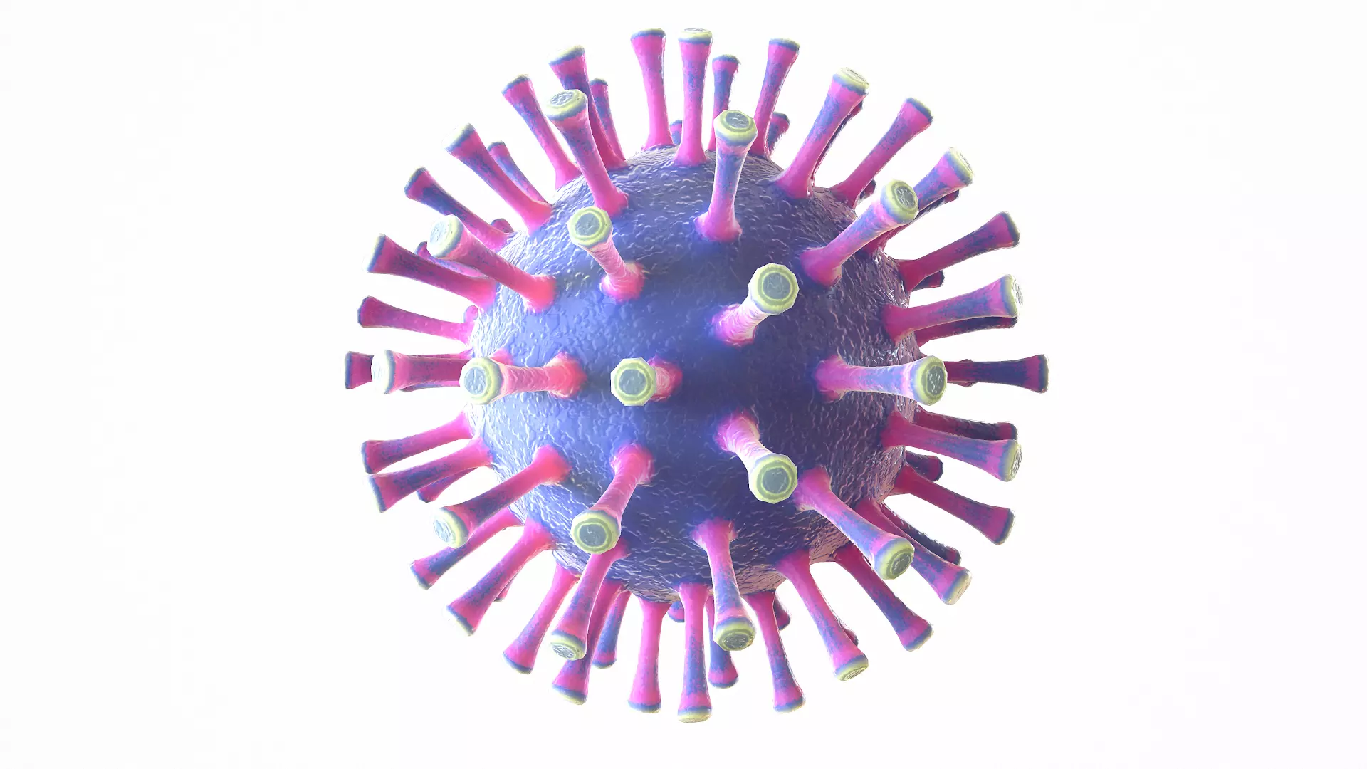 Coronavirus COVID 19 Low-poly 3D model_0