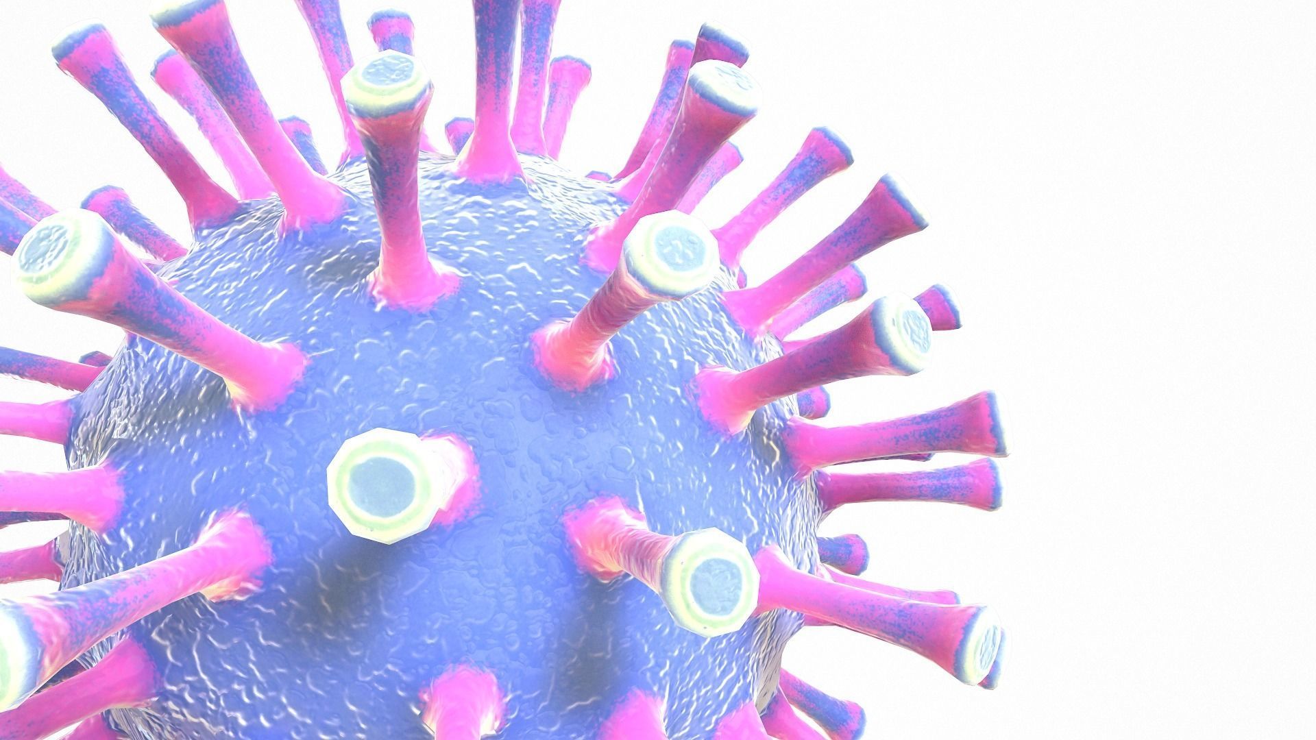 Coronavirus COVID 19 Low-poly 3D model_11