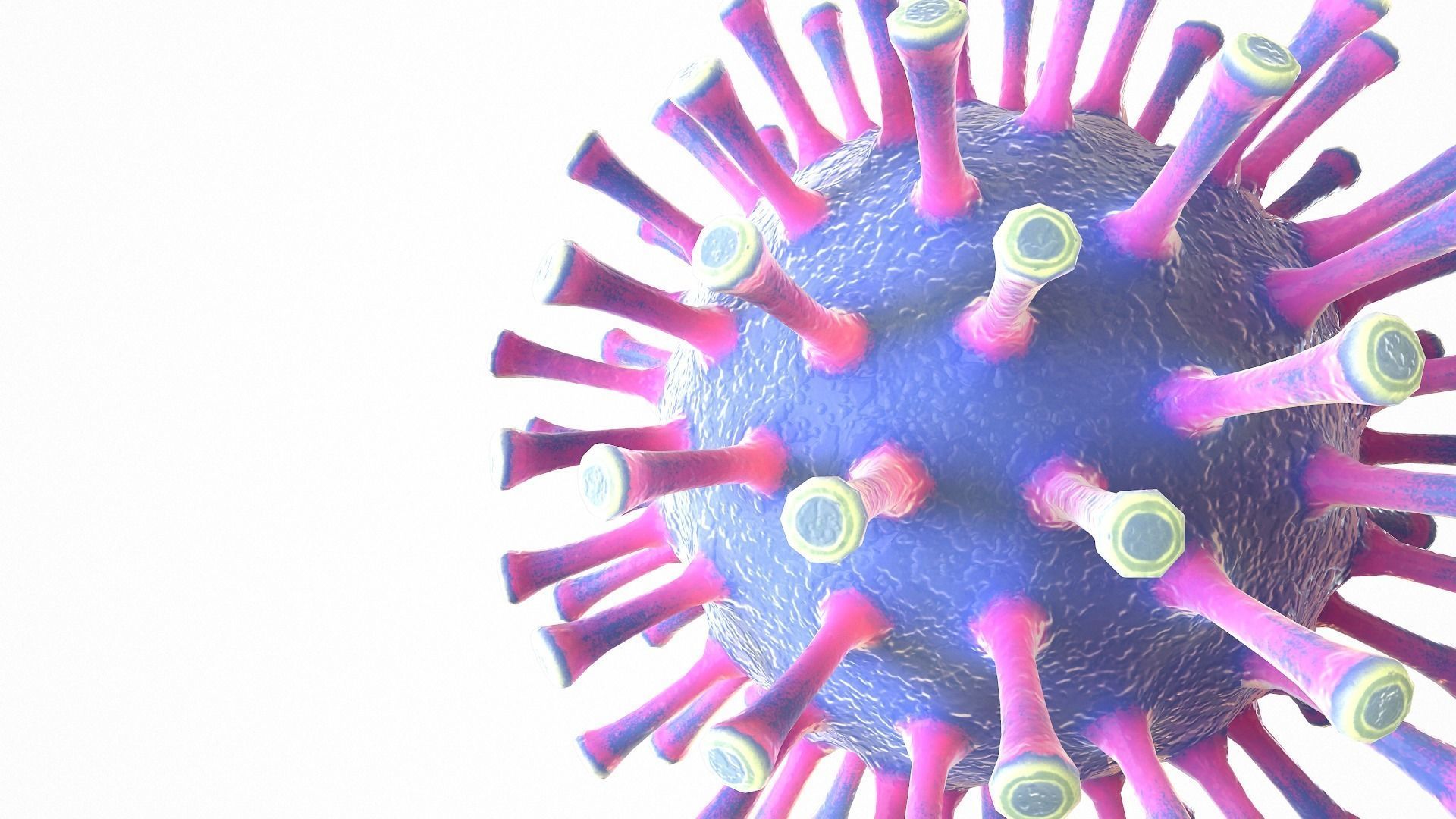 Coronavirus COVID 19 Low-poly 3D model_10