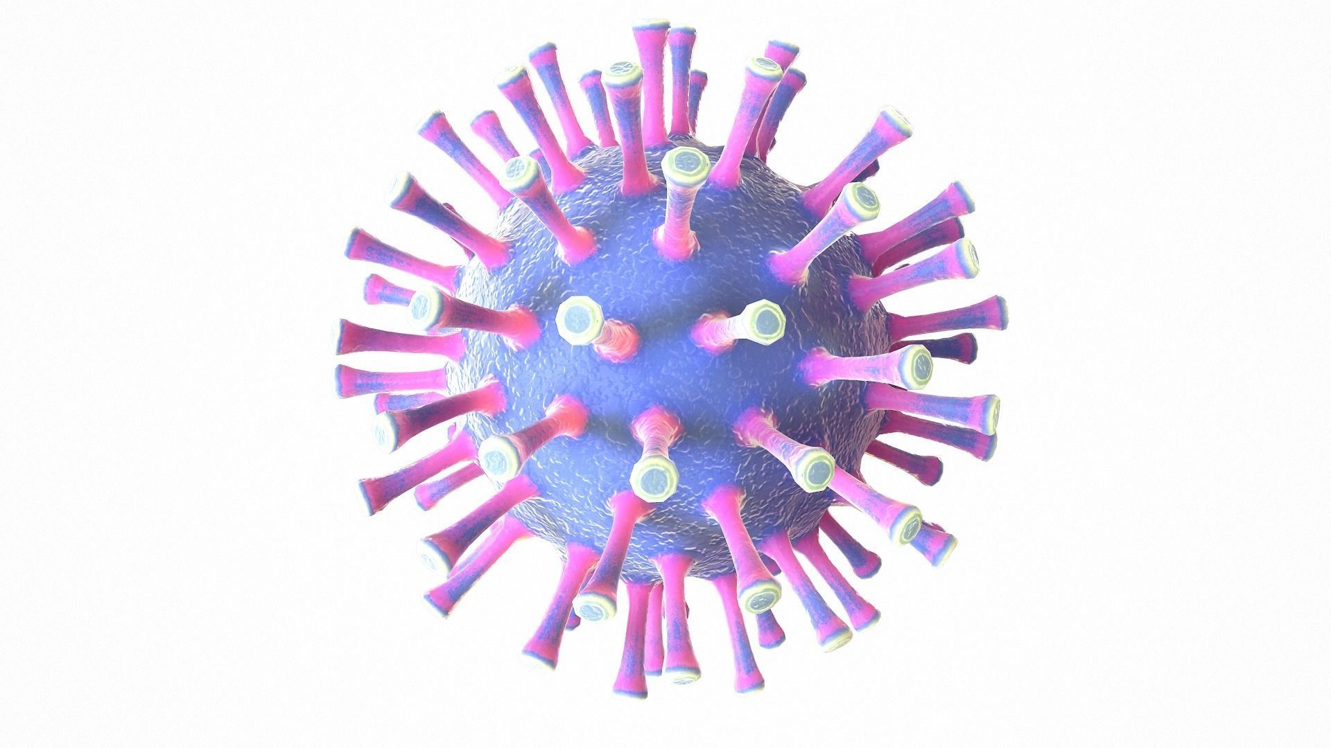 Coronavirus COVID 19 Low-poly 3D model_2