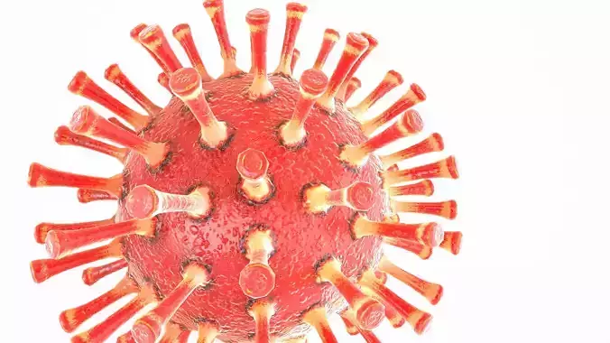 Coronavirus COVID 19