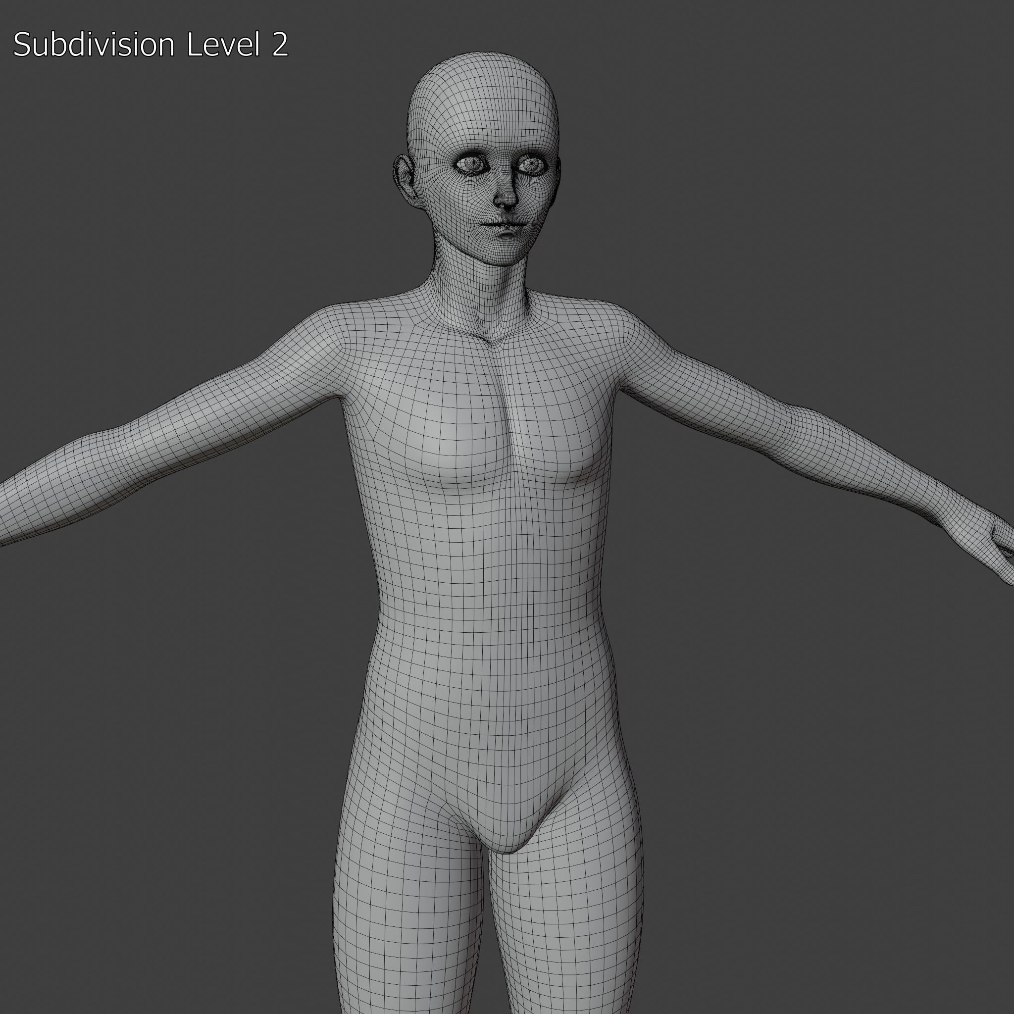 Stylized Humanoid Base Mesh - Male Low-poly 3D model_7