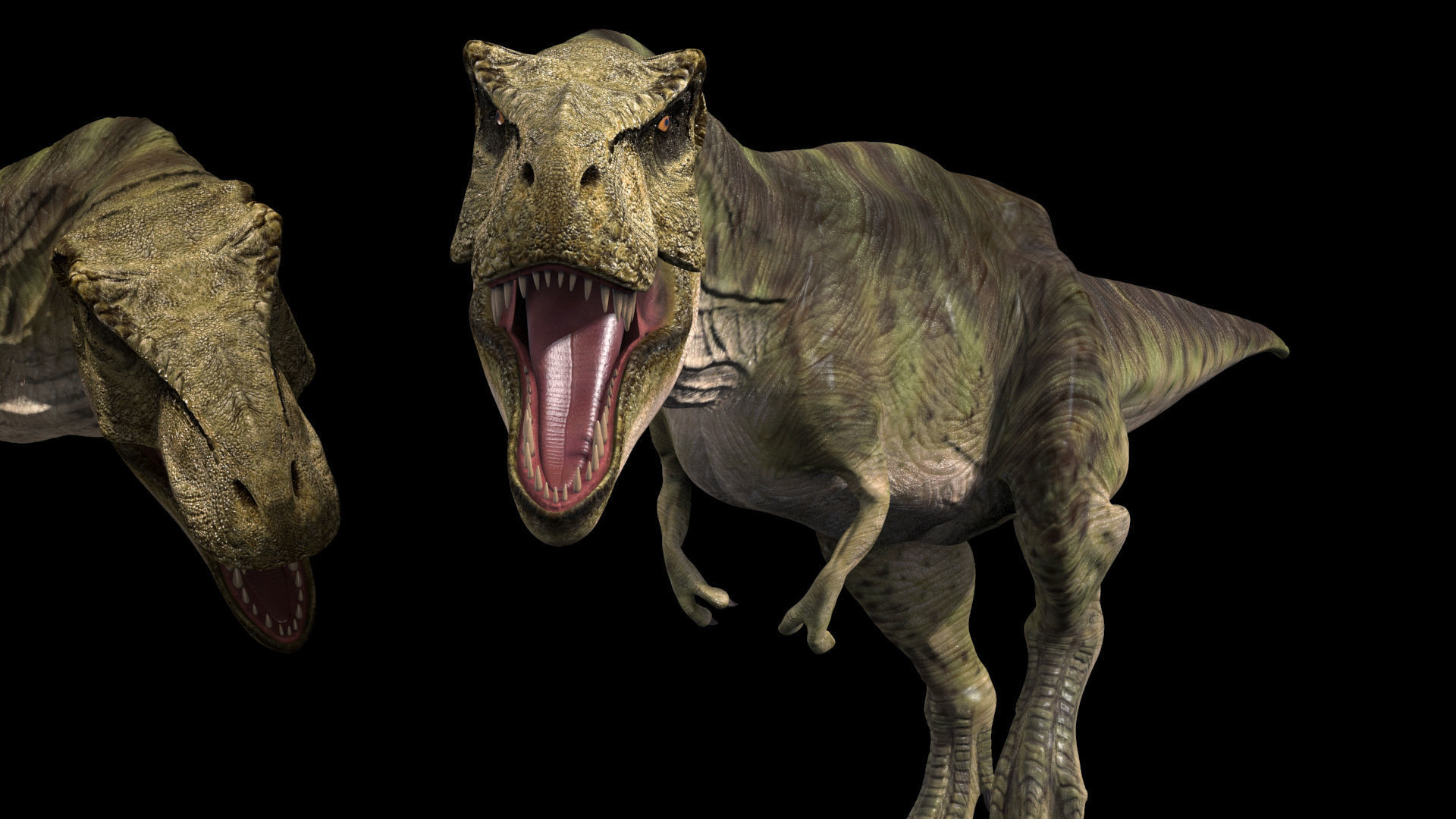 THE T Rex - 8K 3D model_25
