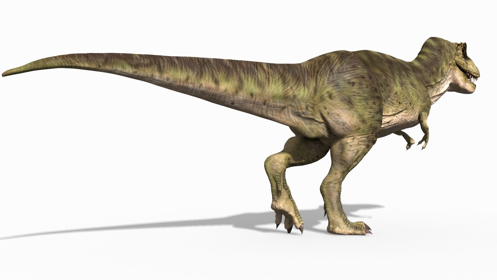 THE T Rex - 8K 3D model_58