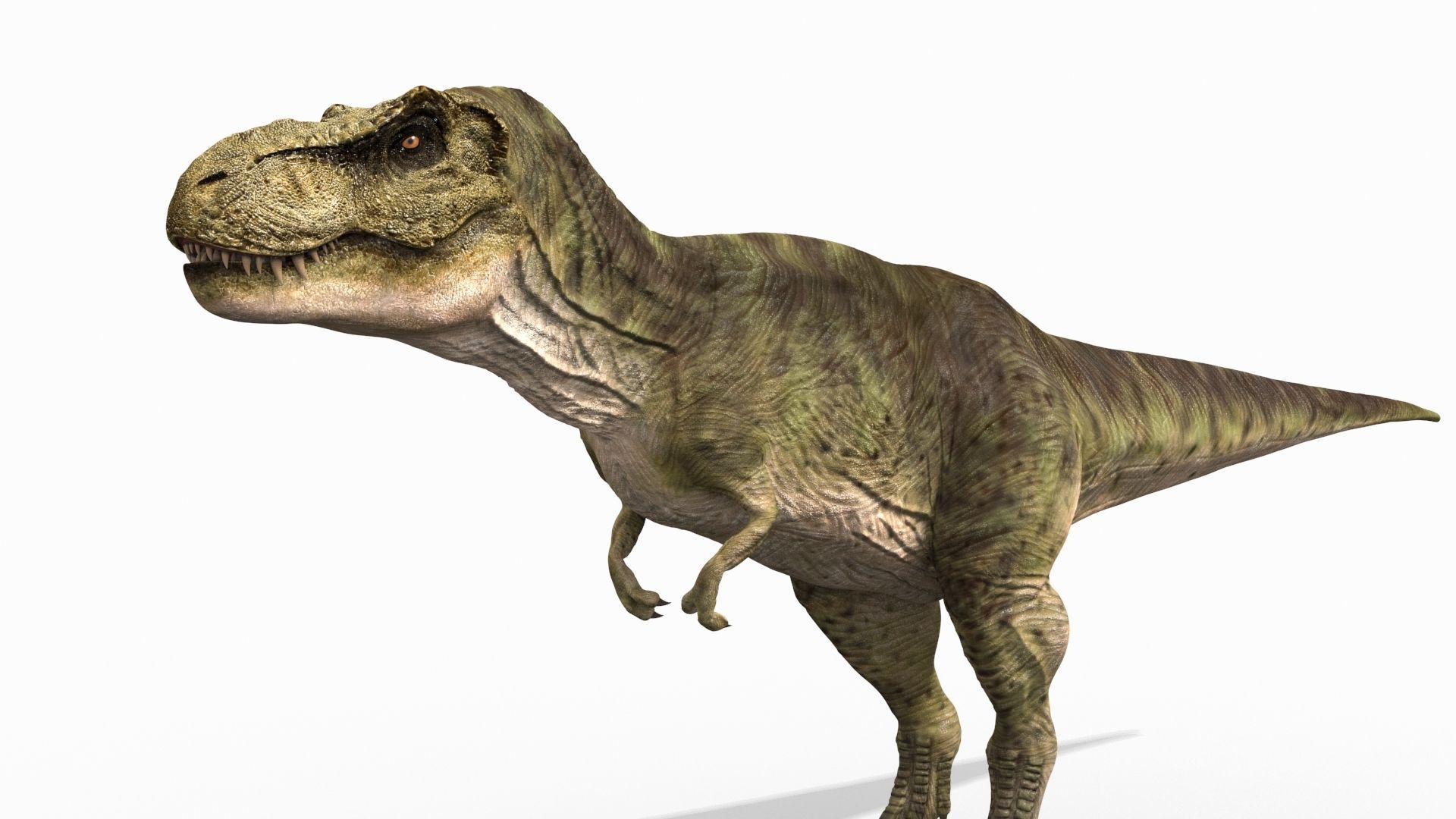 THE T Rex - 8K 3D model_20