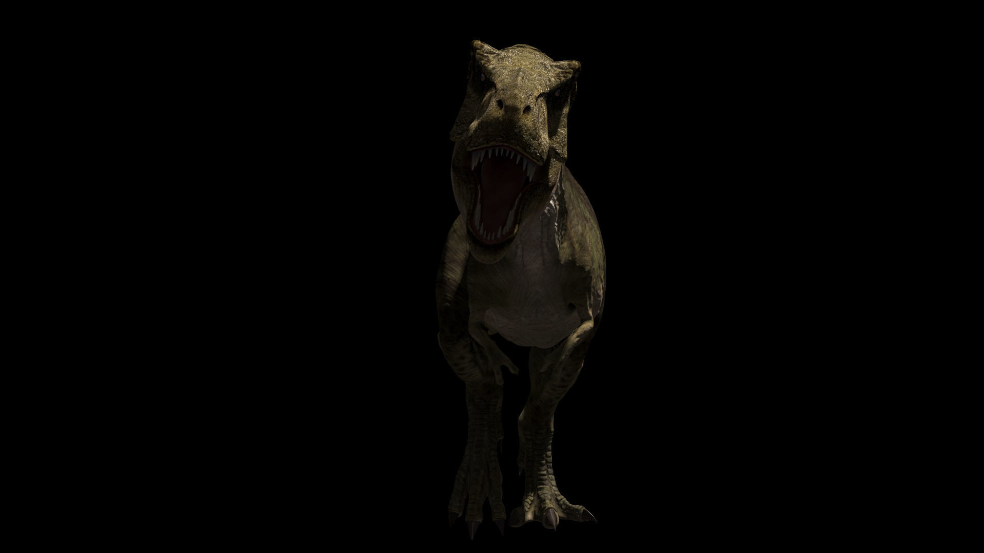 THE T Rex - 8K 3D model_36