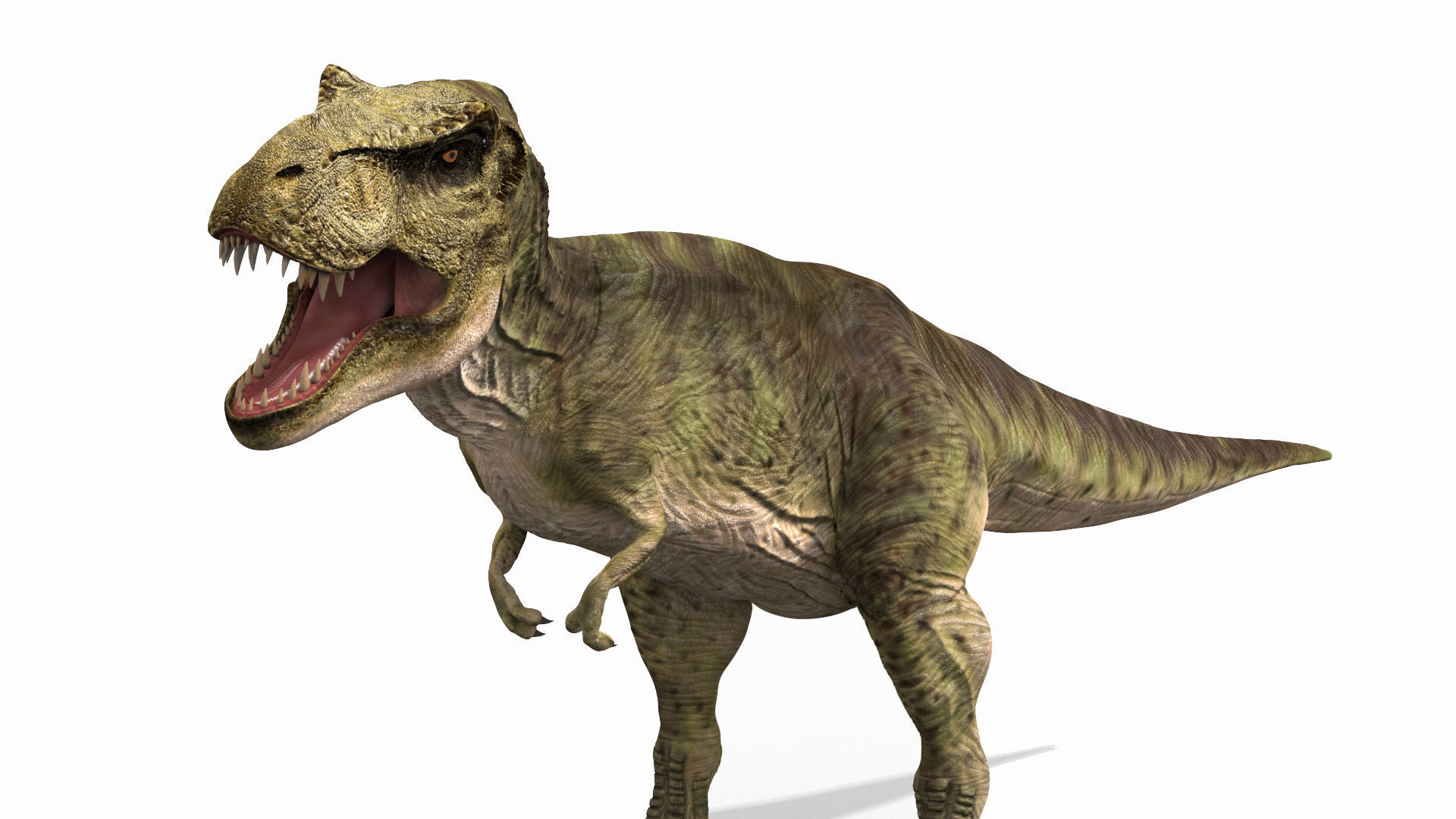 THE T Rex - 8K 3D model_26