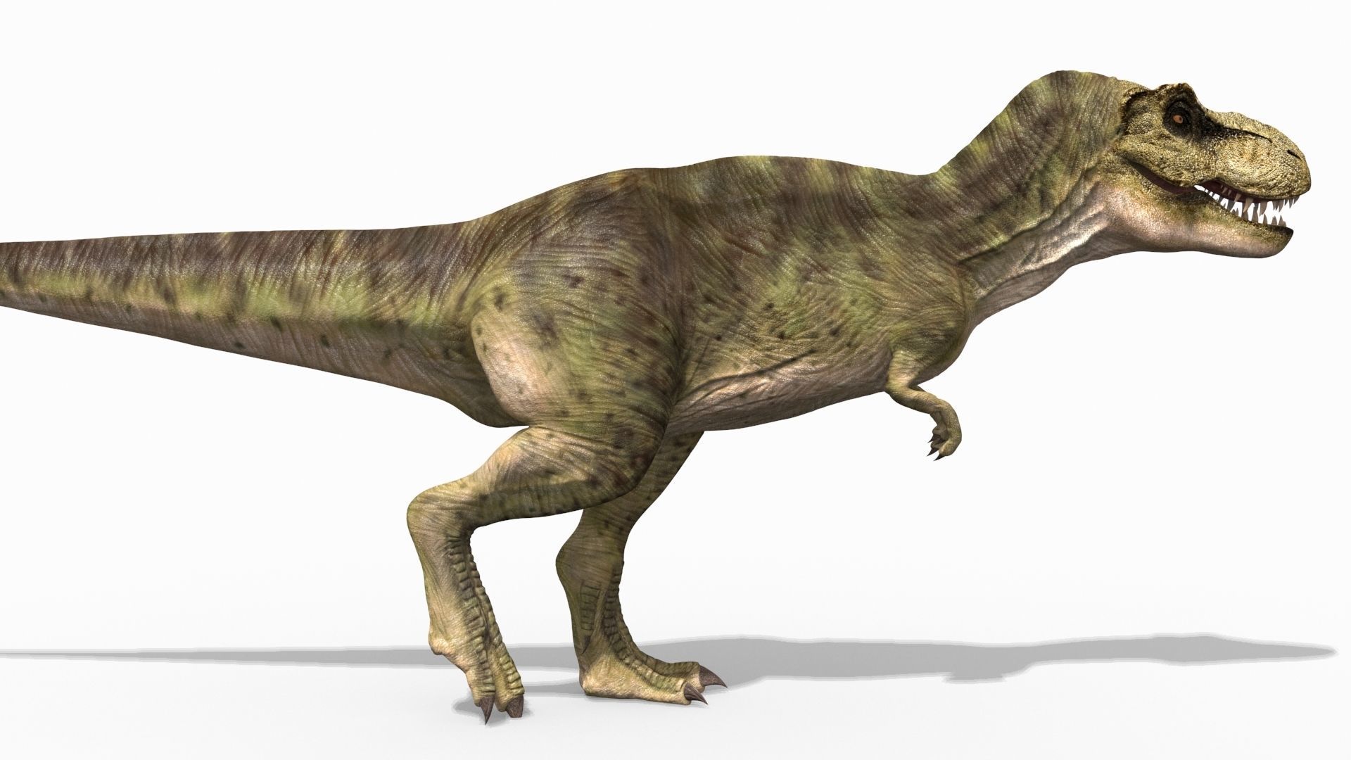 THE T Rex - 8K 3D model_19