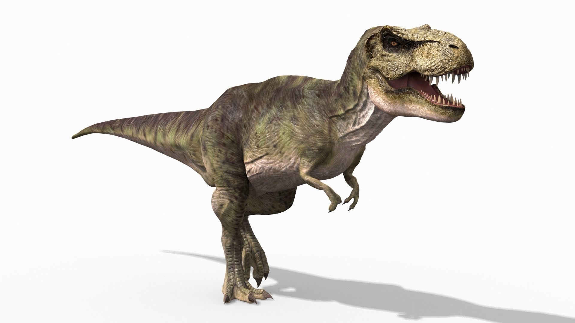 THE T Rex - 8K 3D model_17