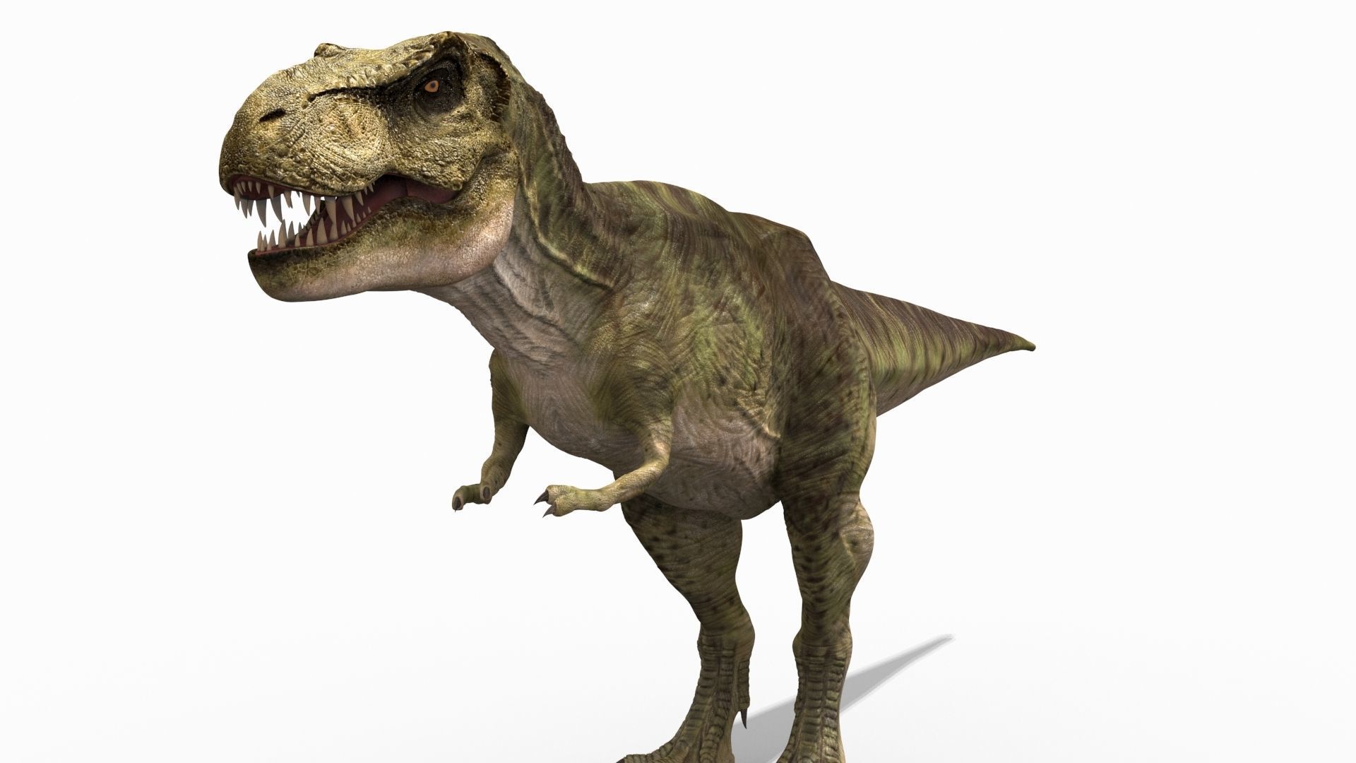 THE T Rex - 8K 3D model_10