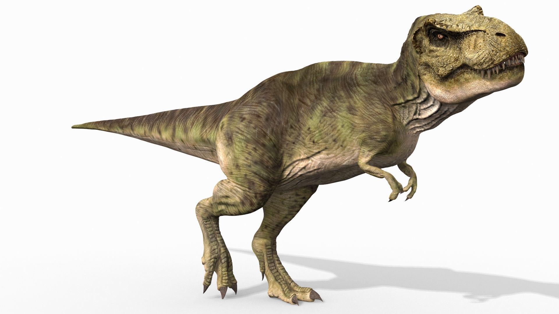 THE T Rex - 8K 3D model_8