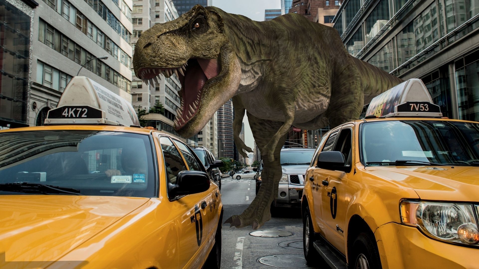 THE T Rex - 8K 3D model_29