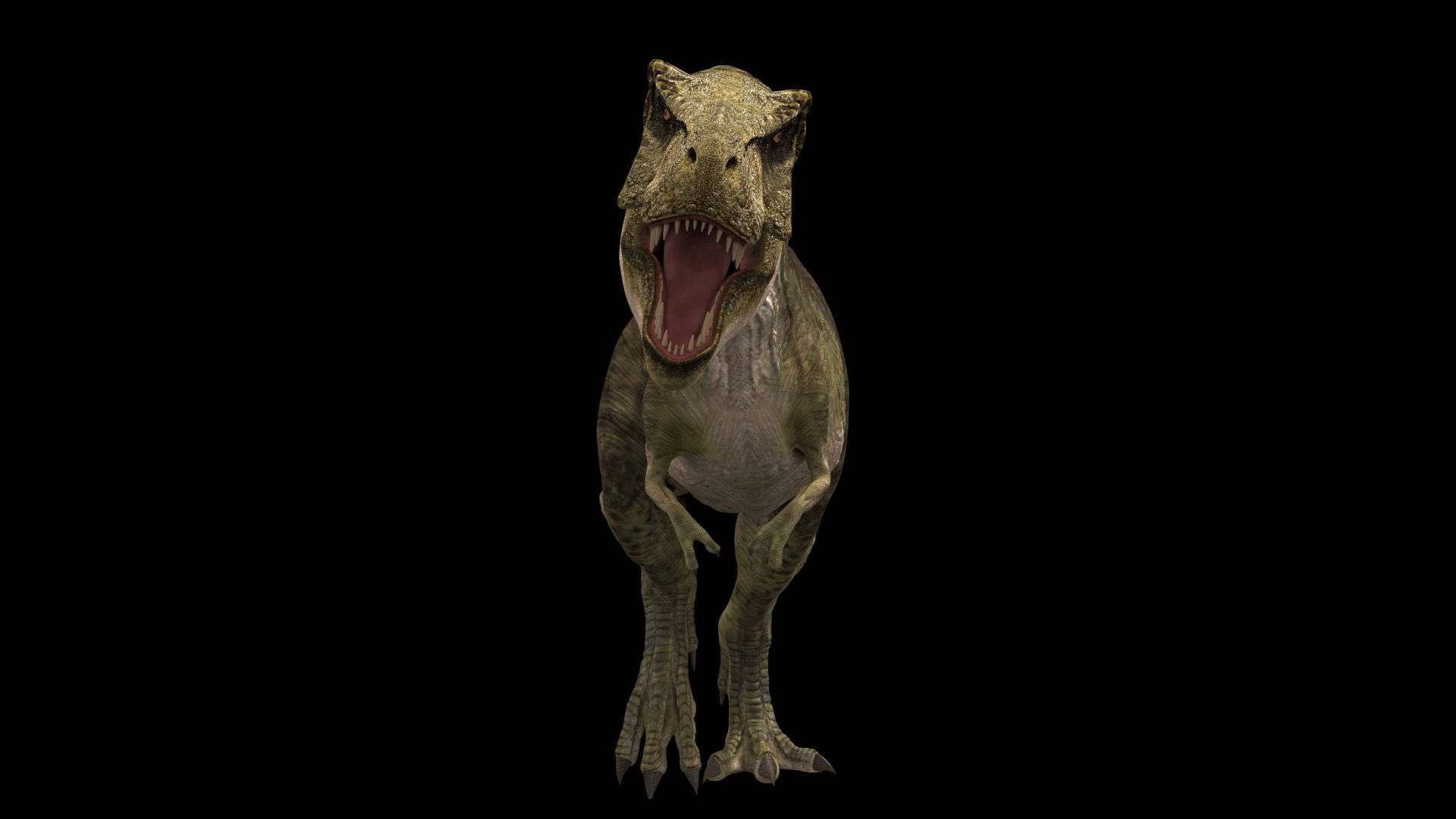 THE T Rex - 8K 3D model_35