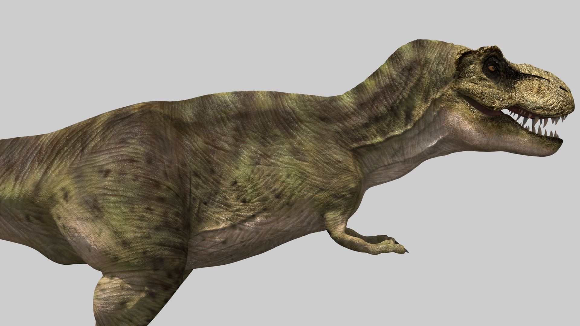 THE T Rex - 8K 3D model_38