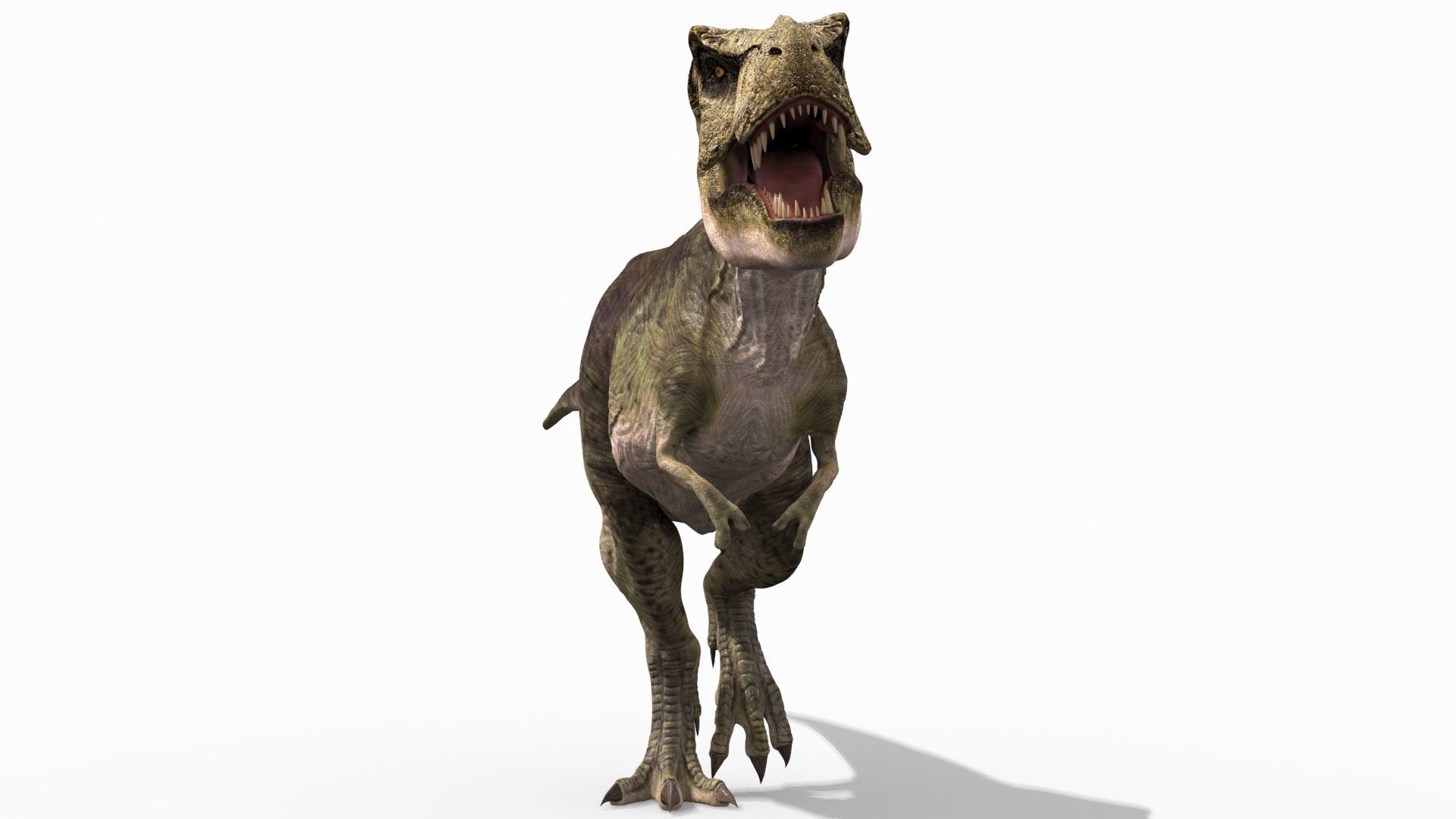 THE T Rex - 8K 3D model_56