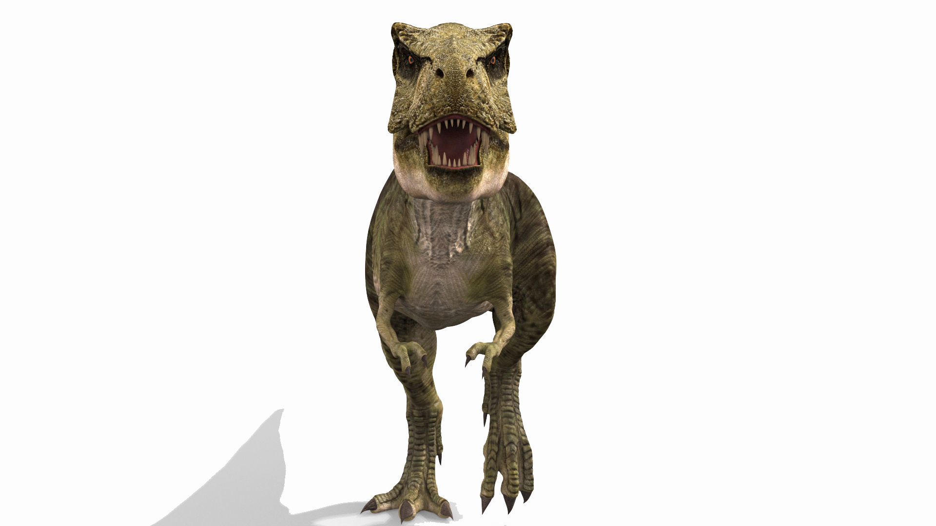 THE T Rex - 8K 3D model_53