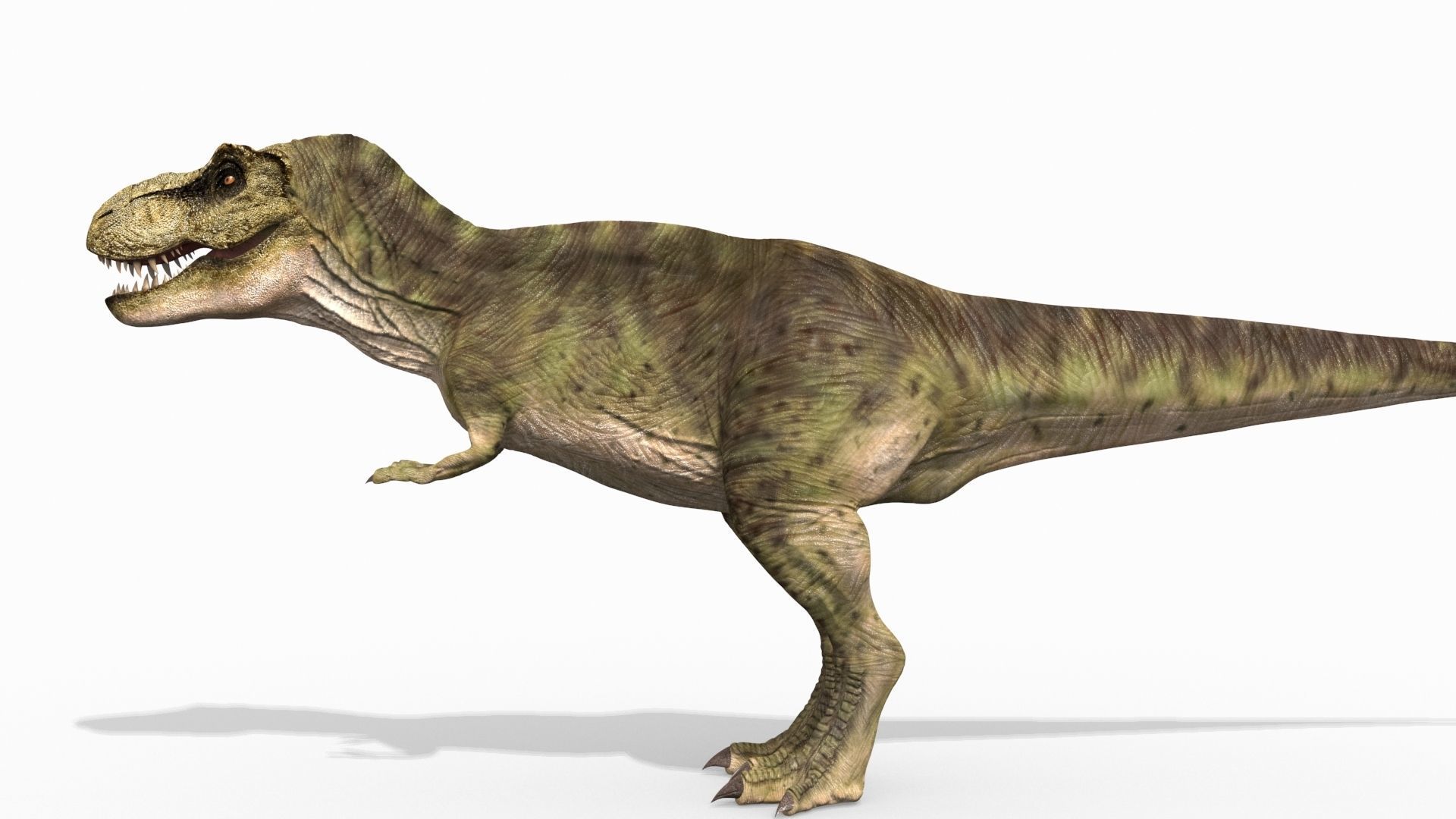 THE T Rex - 8K 3D model_57