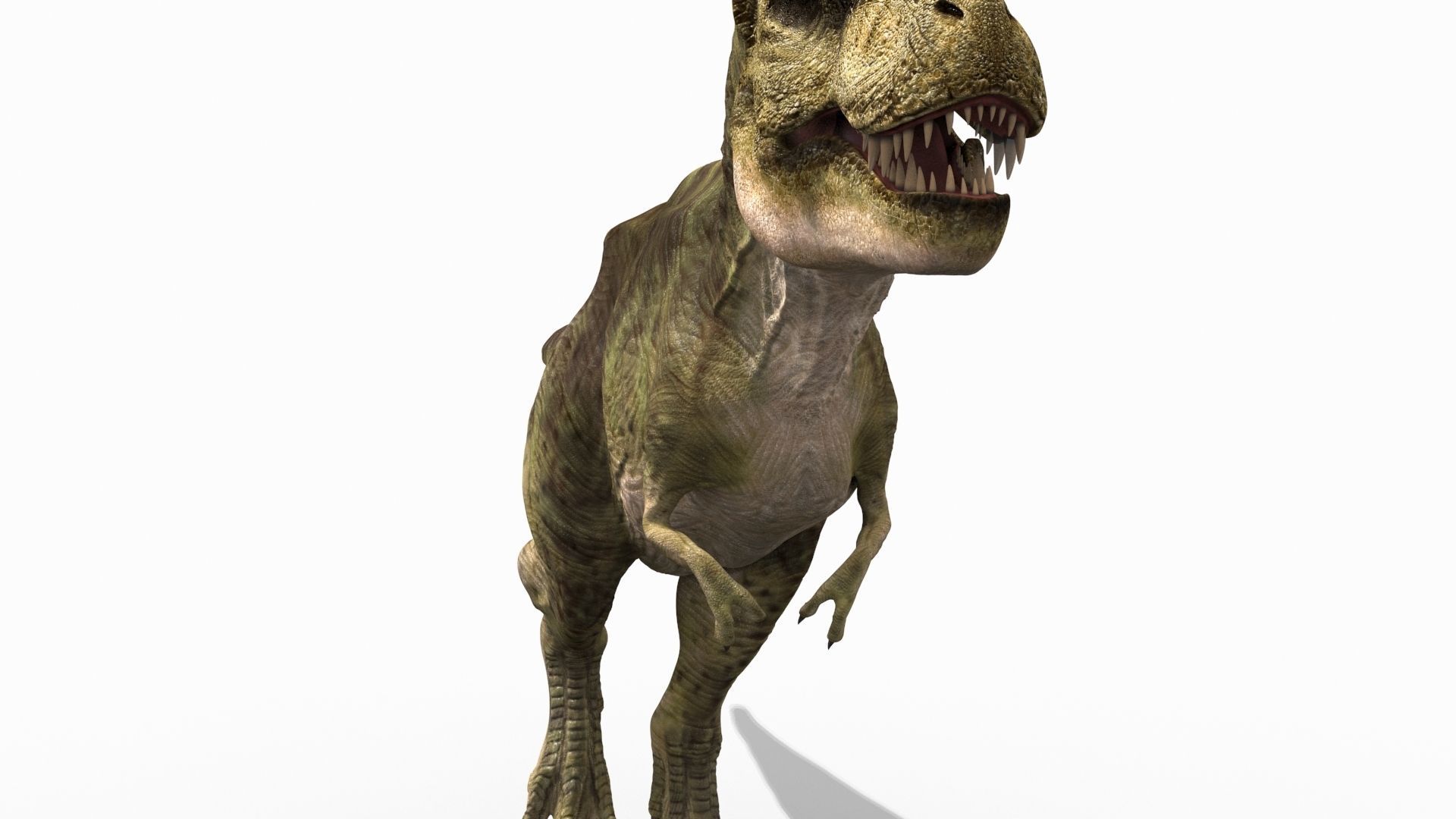 THE T Rex - 8K 3D model_32