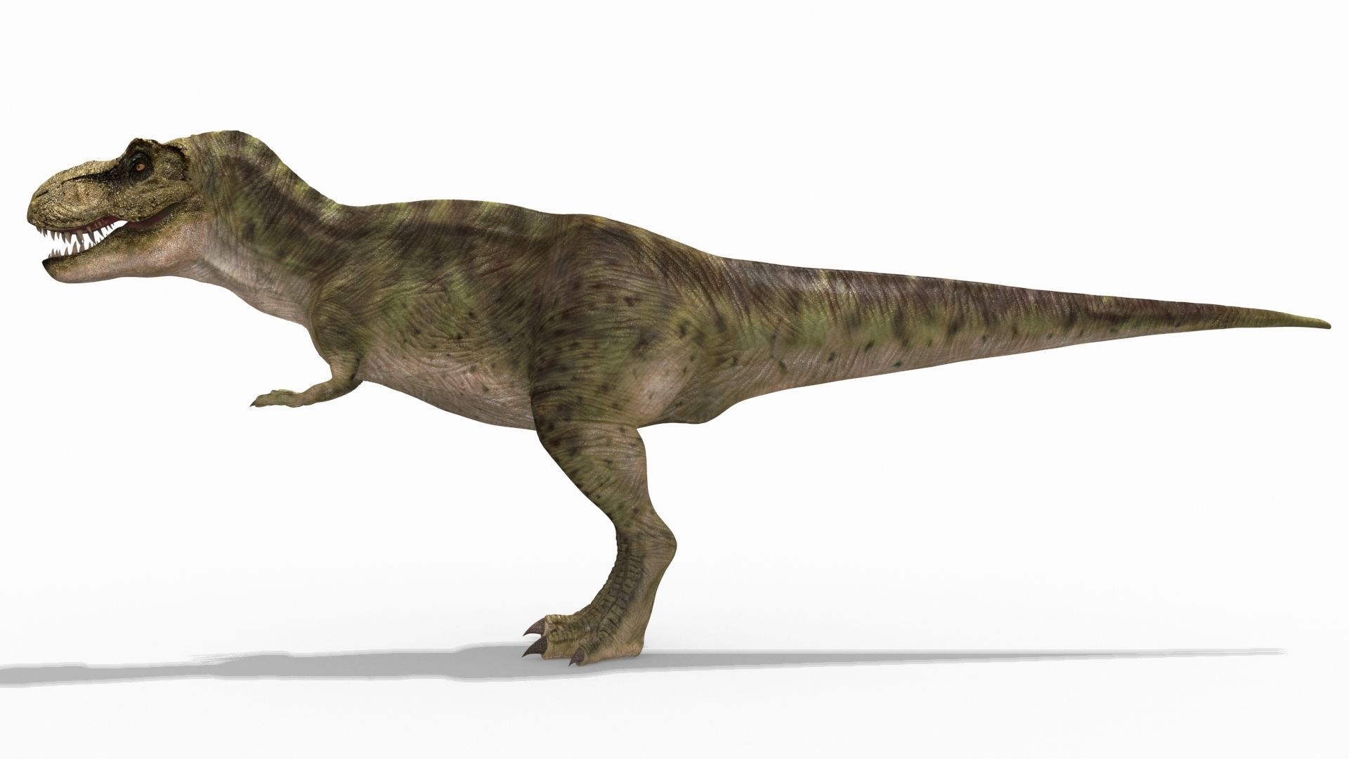 THE T Rex - 8K 3D model_34