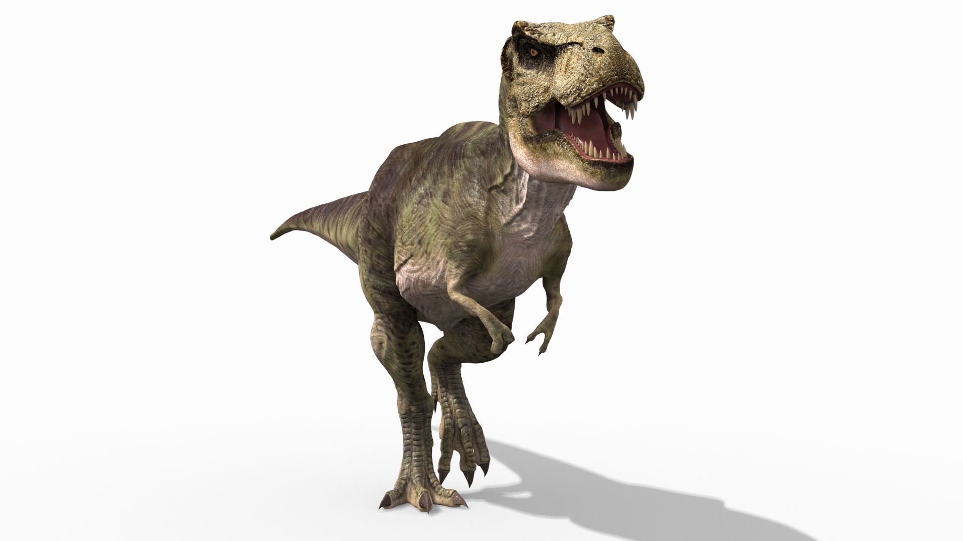THE T Rex - 8K 3D model_49