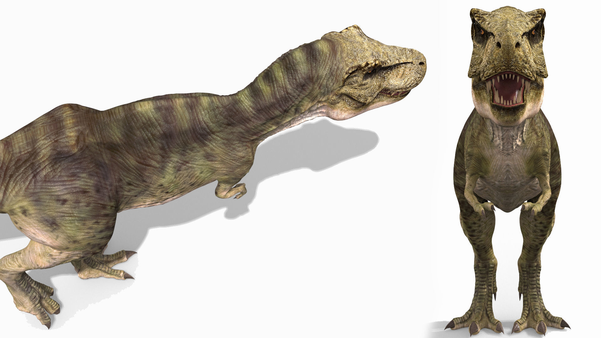 THE T Rex - 8K 3D model_55