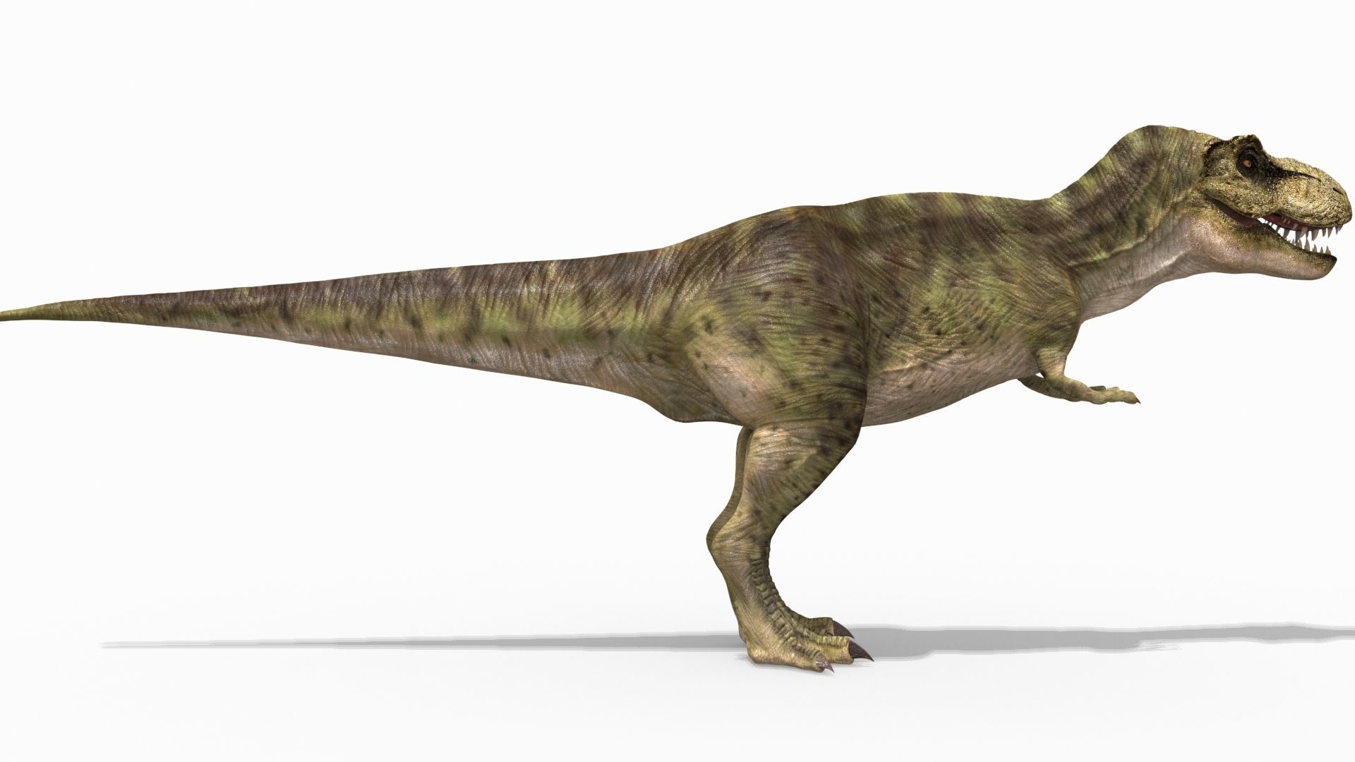 THE T Rex - 8K 3D model_27