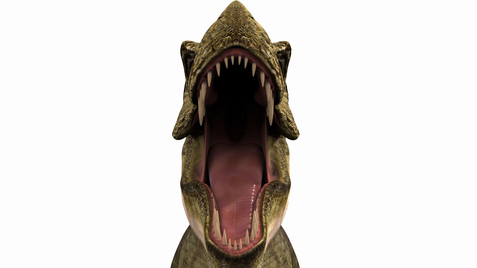 THE T Rex - 8K 3D model_16