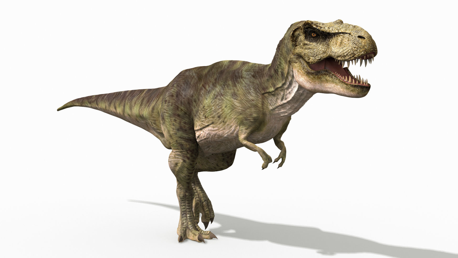 THE T Rex - 8K 3D model_48
