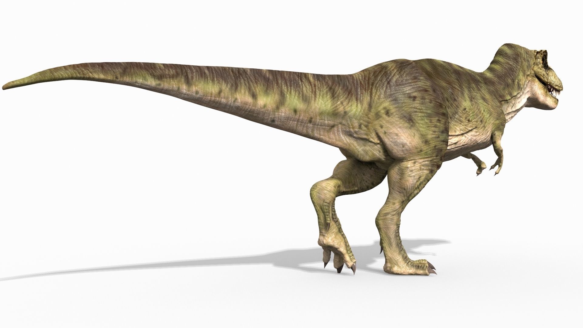 THE T Rex - 8K 3D model_15