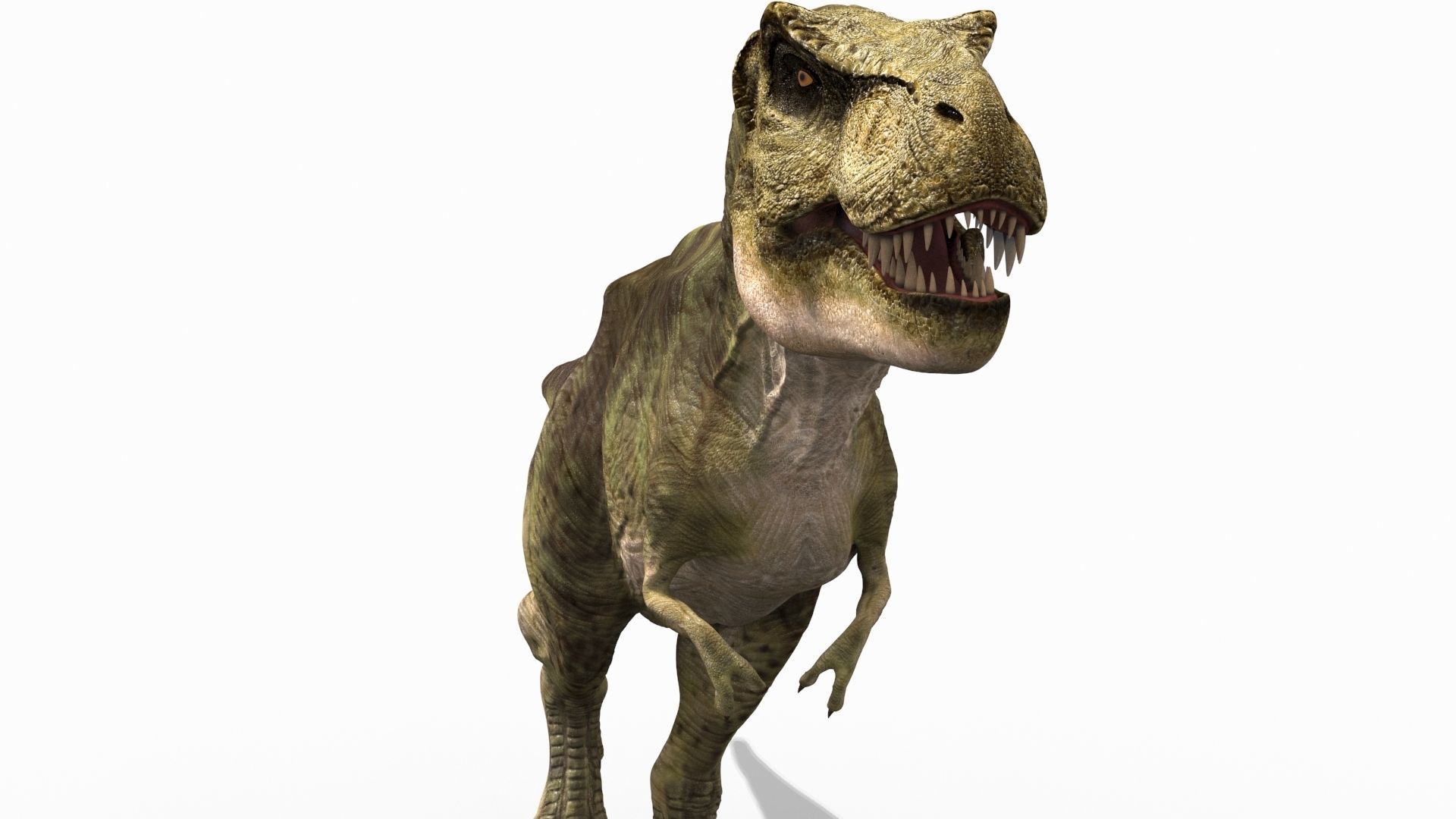 THE T Rex - 8K 3D model_9