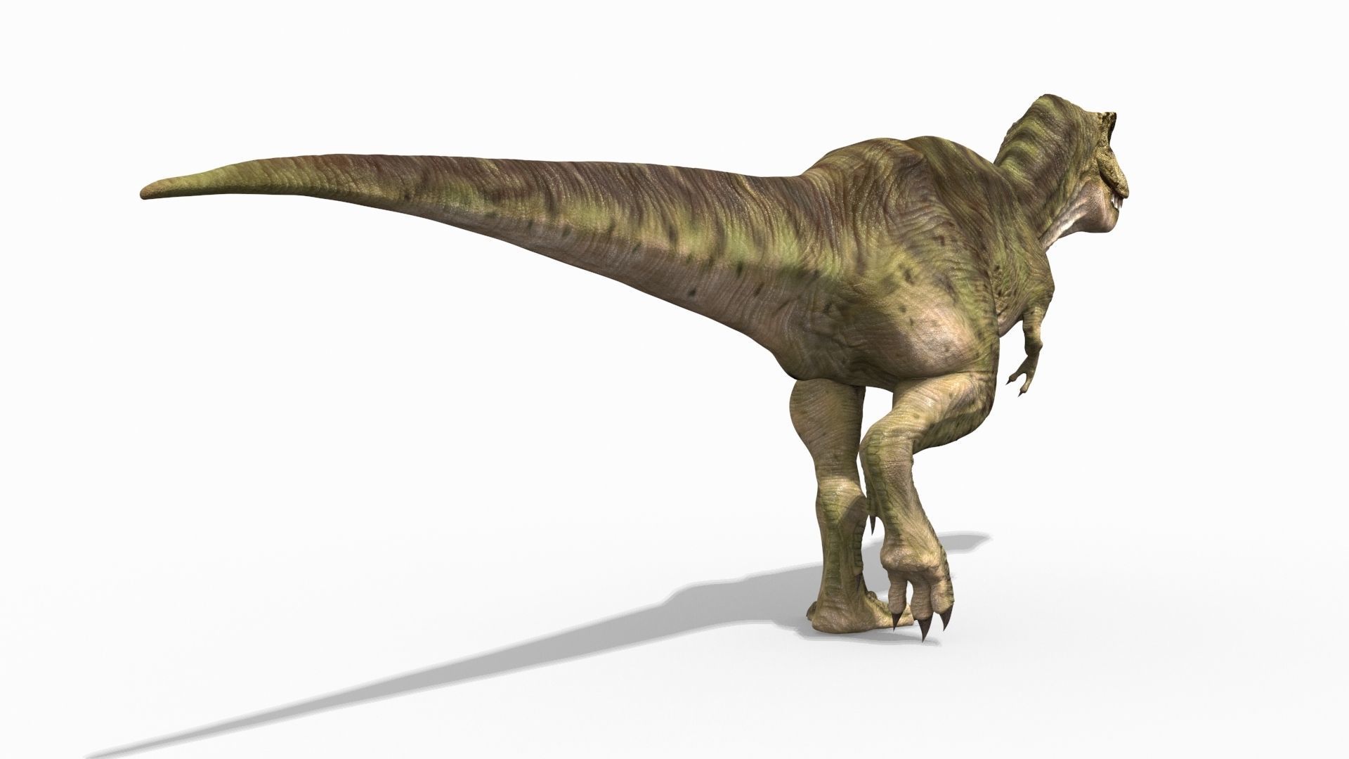THE T Rex - 8K 3D model_14