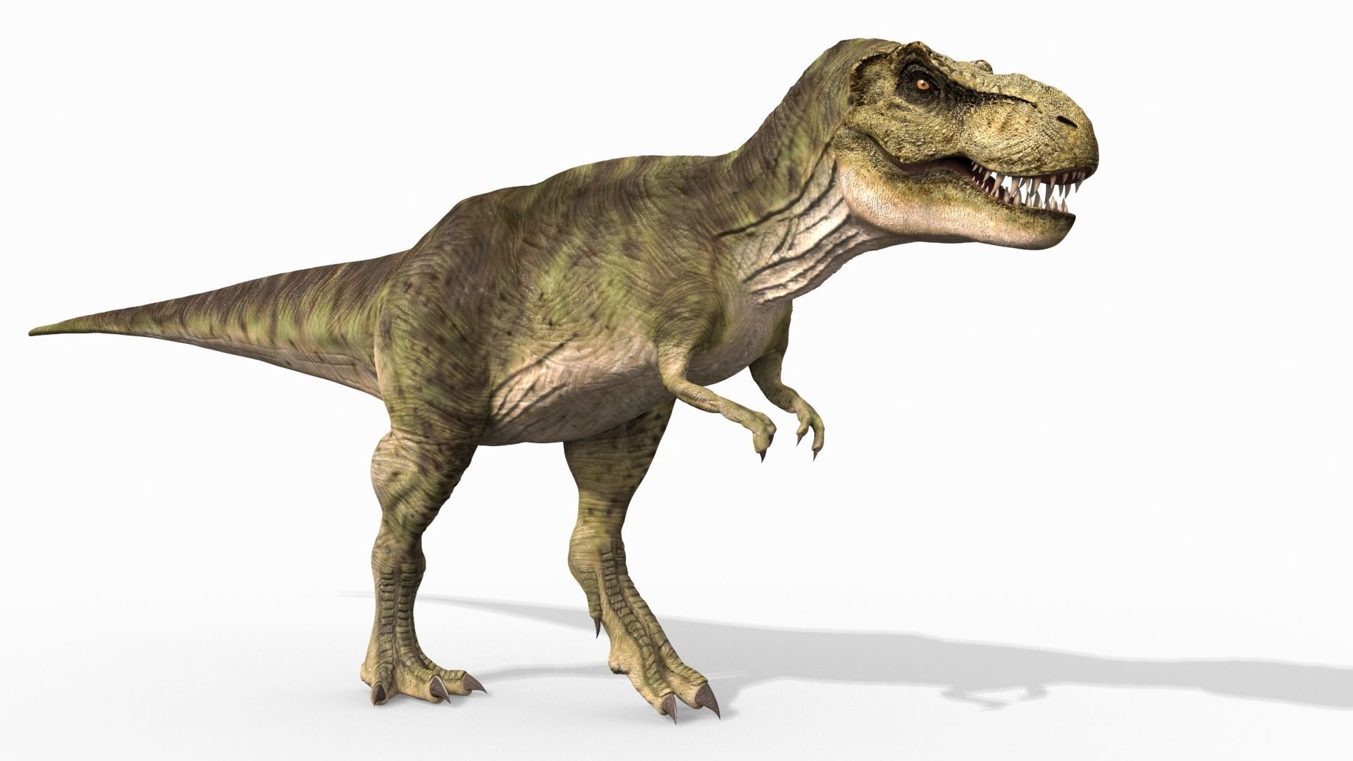 THE T Rex - 8K 3D model_41