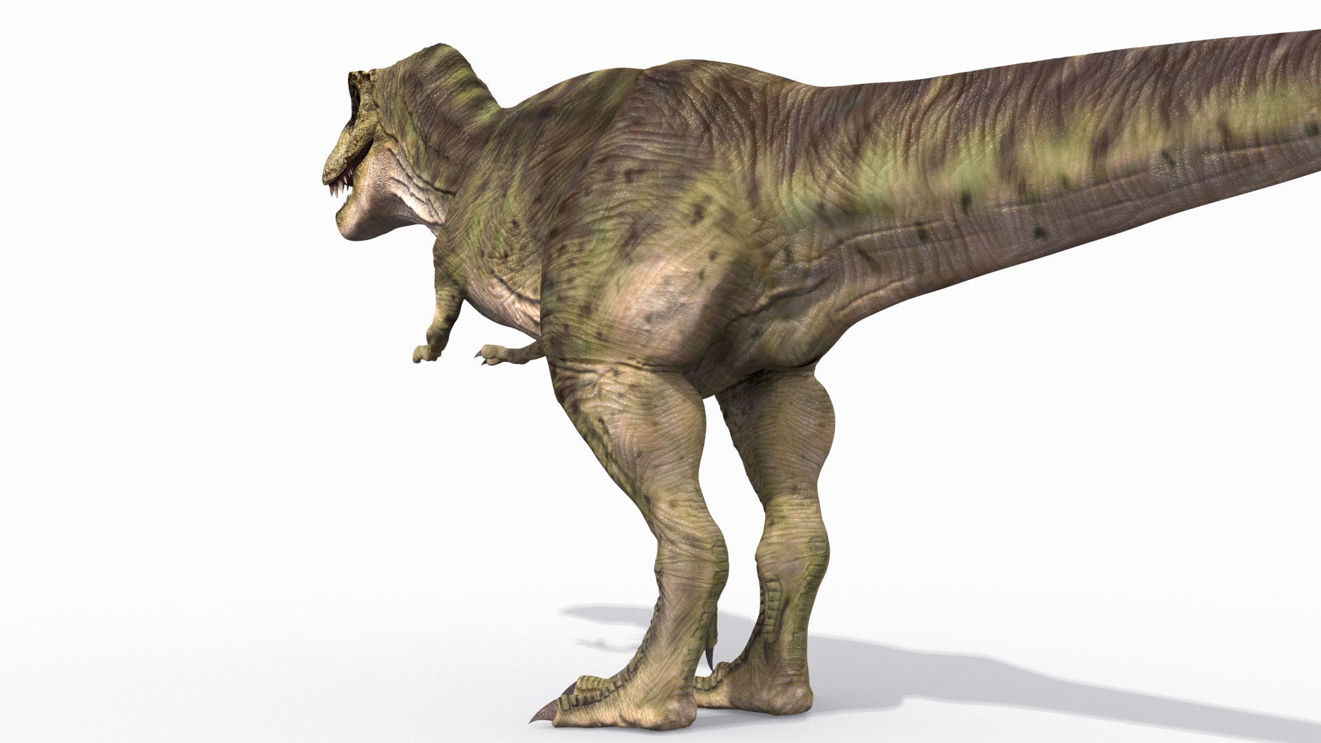 THE T Rex - 8K 3D model_11