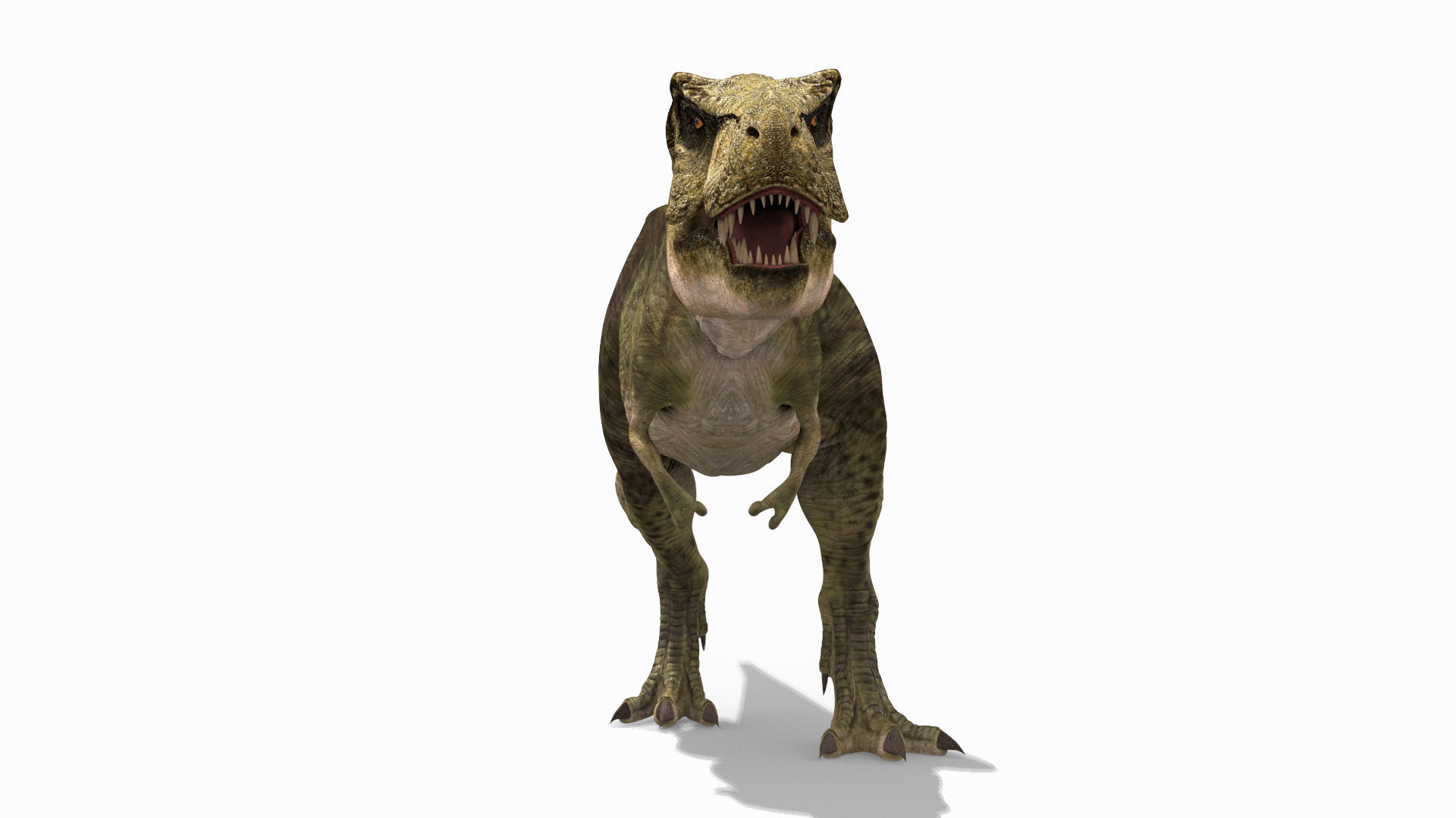 THE T Rex - 8K 3D model_37