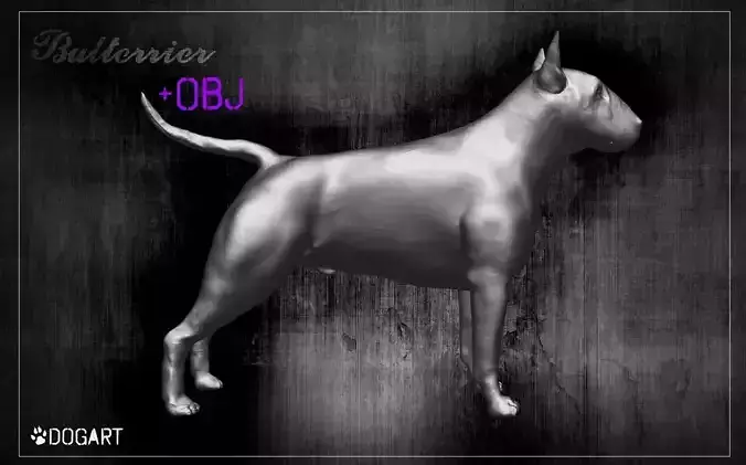 Bullterrier bull terrier