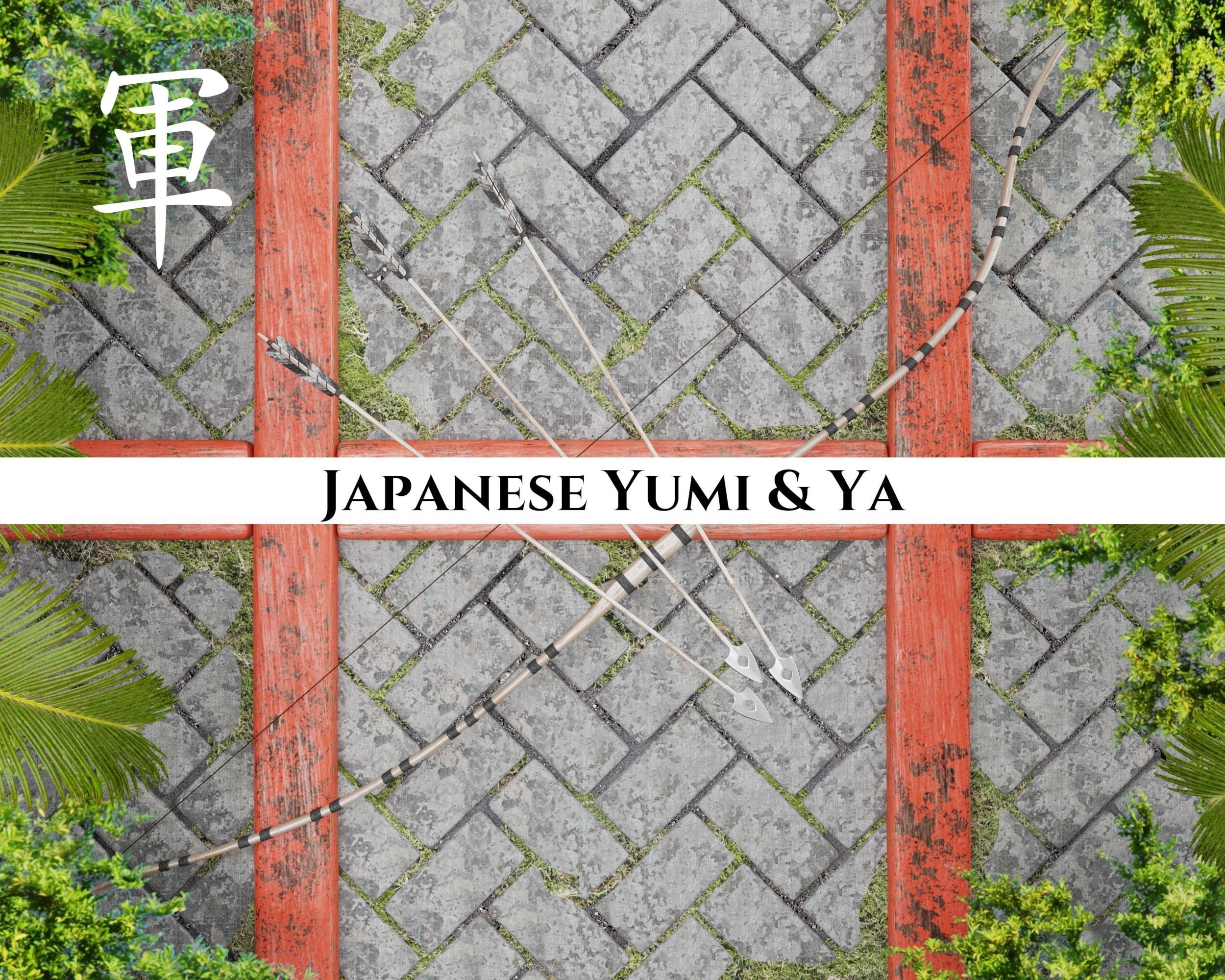 Ancient Collection Weapons Bows and Arrows _14