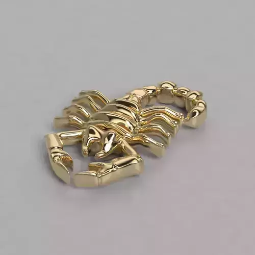 dije escorpion    I said scorpion