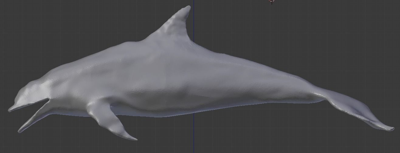 Dolphin Delfin Base 3D model_1