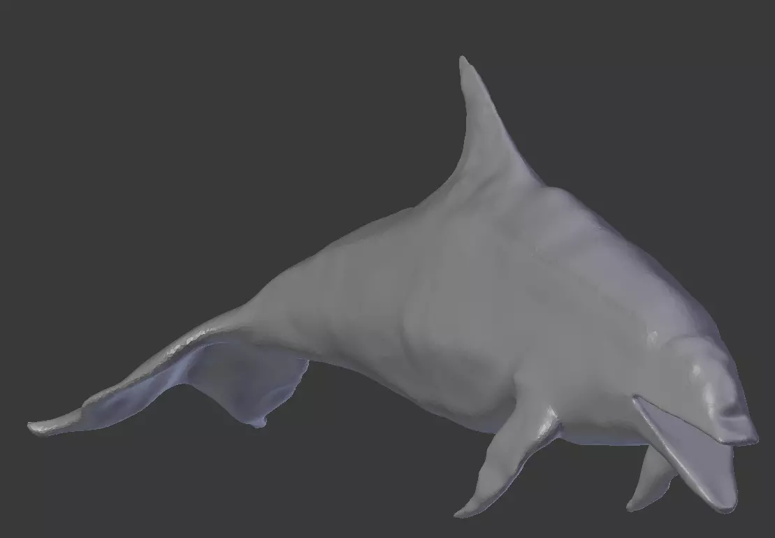 Dolphin Delfin Base 3D model_0