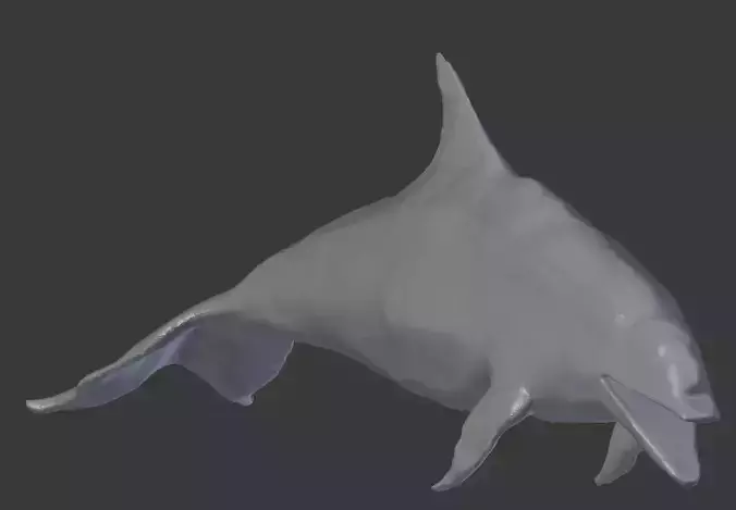Dolphin Delfin Base 3D model