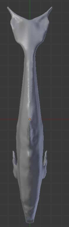 Dolphin Delfin Base 3D model_5