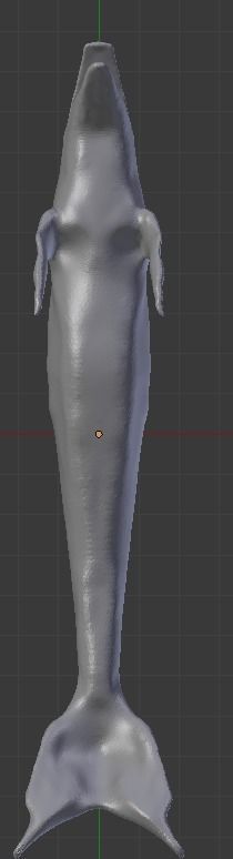 Dolphin Delfin Base 3D model_4