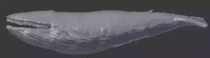 Whale Blender file