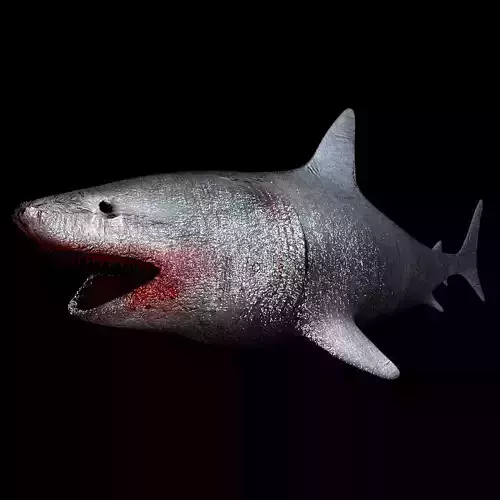 Shark Low Poly For Games Rigged and Texturized BLENDER FILE