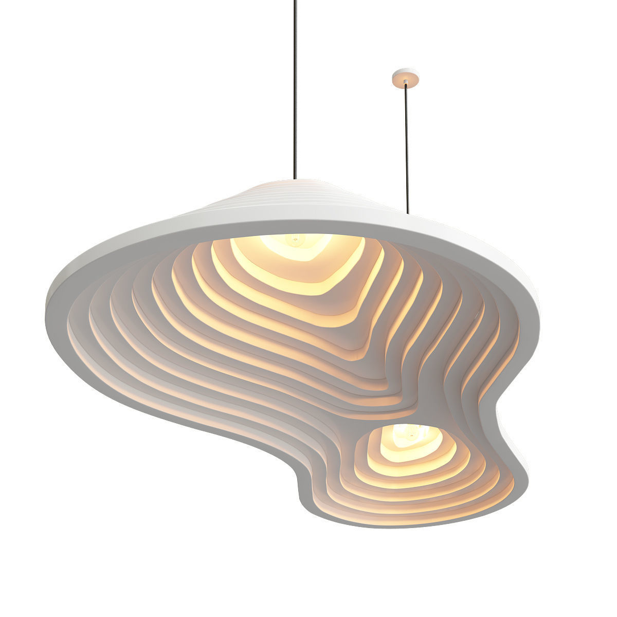 Rice field double akoestische lamp 3D model_1