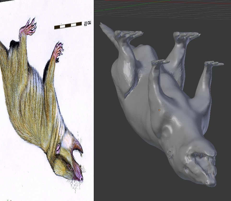 Gobiconodontidae -A rat lol 3D model_6